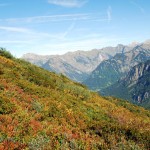 Allgäuer Bergwiese bei Oberstdorf