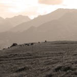 Allgäuer Bergpanorama bei Oberstdorf