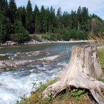 Fluss in der Nähe von Oberstdorf im Allgäu