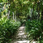 Gartenweg auf Capri (Italien)