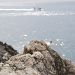 Fels auf Capri (Italien)