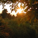 Abenddämmerung auf Kos (Griechenland)