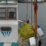 Fischerboot auf Rhodos (Griechenland)