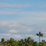 Auf Marco Island in Florida