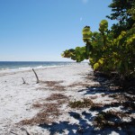 Strand von Sanibel Island in Florida