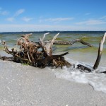 Blick von Sanibel Island auf Fort Myers in Florida