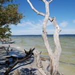 Auf Sanibel Island in Florida