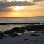 Sonnenuntergang in Naples Beach in Florida