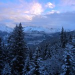 Schneebedeckter Tannenwald bei Serfaus