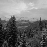 Schneebedeckte Tannen bei Serfaus