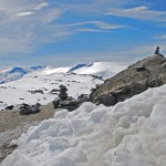 Schnee oberhalb des Geirangerfjords in Norwegen