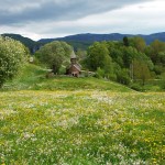 Kirche in einem kleinen norwegischen Dorf