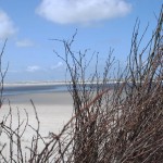 Strandblick auf Spiekeroog