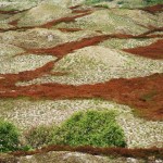 Naturlandschaft auf Spiekeroog