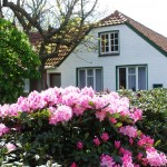 Haus und Blumen auf Spiekeroog