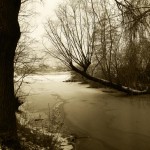 Die Alster in Hamburg im Winter