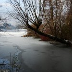 Die winterliche Alster in Hamburg