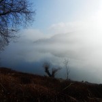 Am Ufer des Hennesees bei Meschede im Sauerland