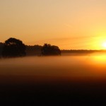 Frühnebel in Ickern in Castrop-Rauxel