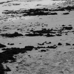 Strand auf Rügen