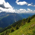 Am Hang des Iselers in Oberjoch