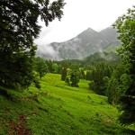 Grüne Wiesen nach Regen in Unterjoch