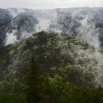 Wälder und Nebel in Karlsbad