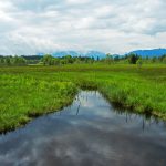 Landschaft im Umland von Bad Tölz