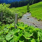 In den Bergen rund um Bad Tölz