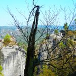 Die Sächsische Schweiz bietet eine ganz besondere Verbundenheit mit der Natur