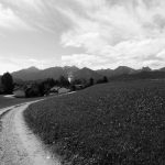 Bayrische Idylle bei Hopfen am See