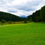 In der Nähe des Faulensees bei Hopfen am See