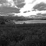 Blick auf den Hopfensee in Bayern