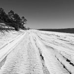 Strand am Amelia Island State Park (Florida)