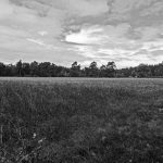 Landschaft in der Lüneburger Heide