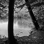 Flusslauf in der Lüneburger Heide