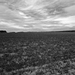 Ackerlandschaft in der Lüneburger Heide