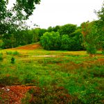 Das Marxener Paradies in der Lüneburger Heide