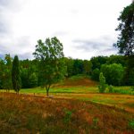 Heidefläche im Marxener Paradies in der Lüneburger Heide