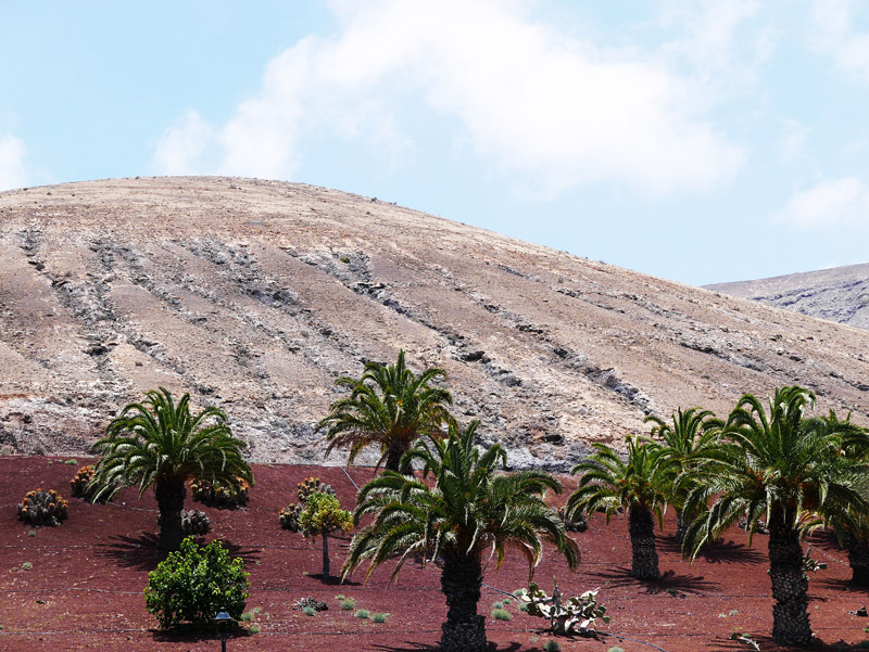Typische Landschaft auf Lanzarote