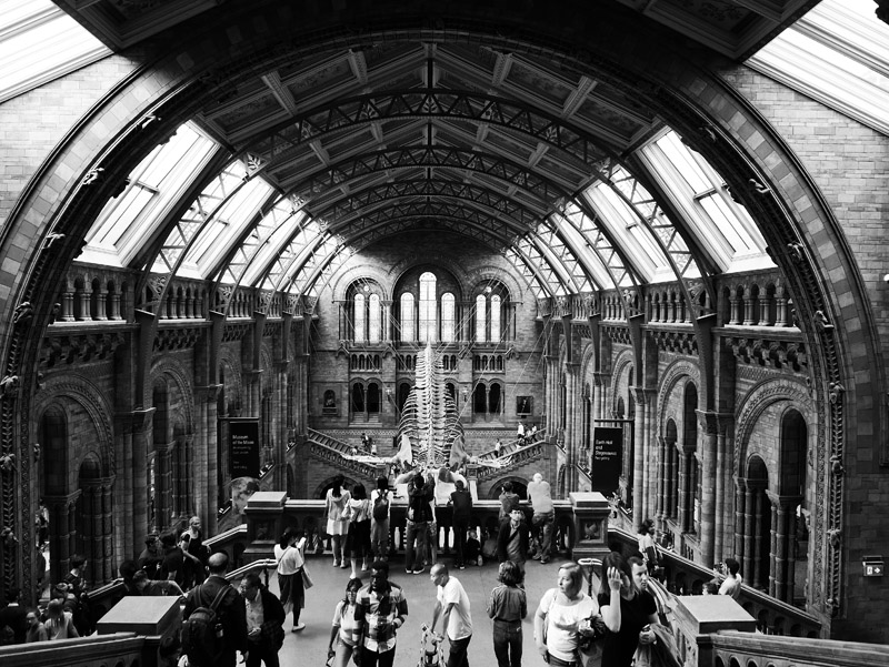 Die Hintze Hall im Londoner Natural History Museum